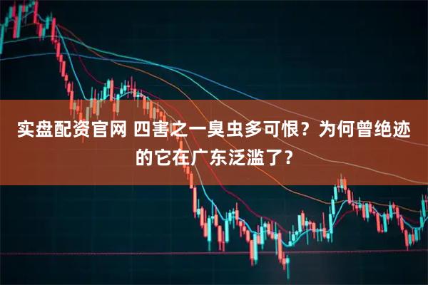 实盘配资官网 四害之一臭虫多可恨？为何曾绝迹的它在广东泛滥了？