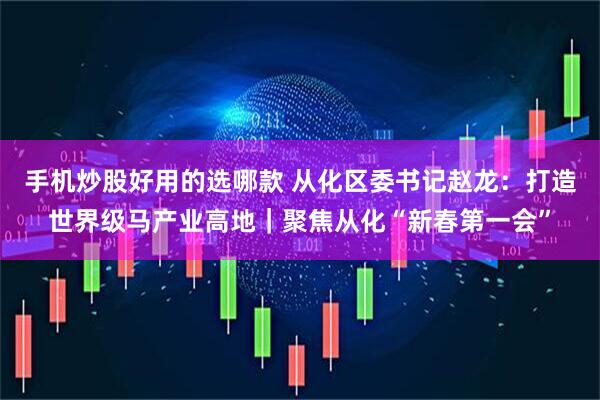 手机炒股好用的选哪款 从化区委书记赵龙：打造世界级马产业高地｜聚焦从化“新春第一会”